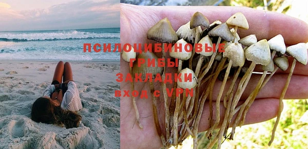 каннабис Гвардейск
