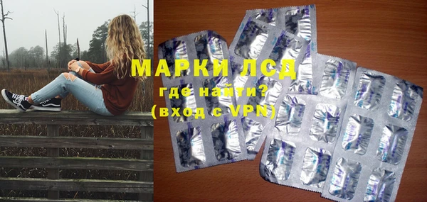 спиды Гатчина