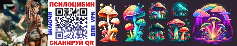 Псилоцибиновые грибы Psilocybe  что такое   Сергач 